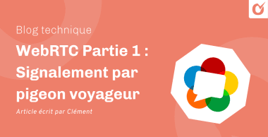 WebRTC Partie 1 : Signalement par pigeon voyageur